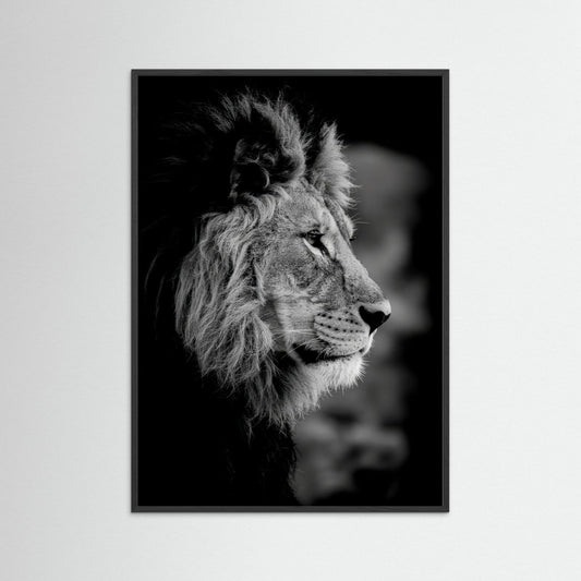 Majestic Mind