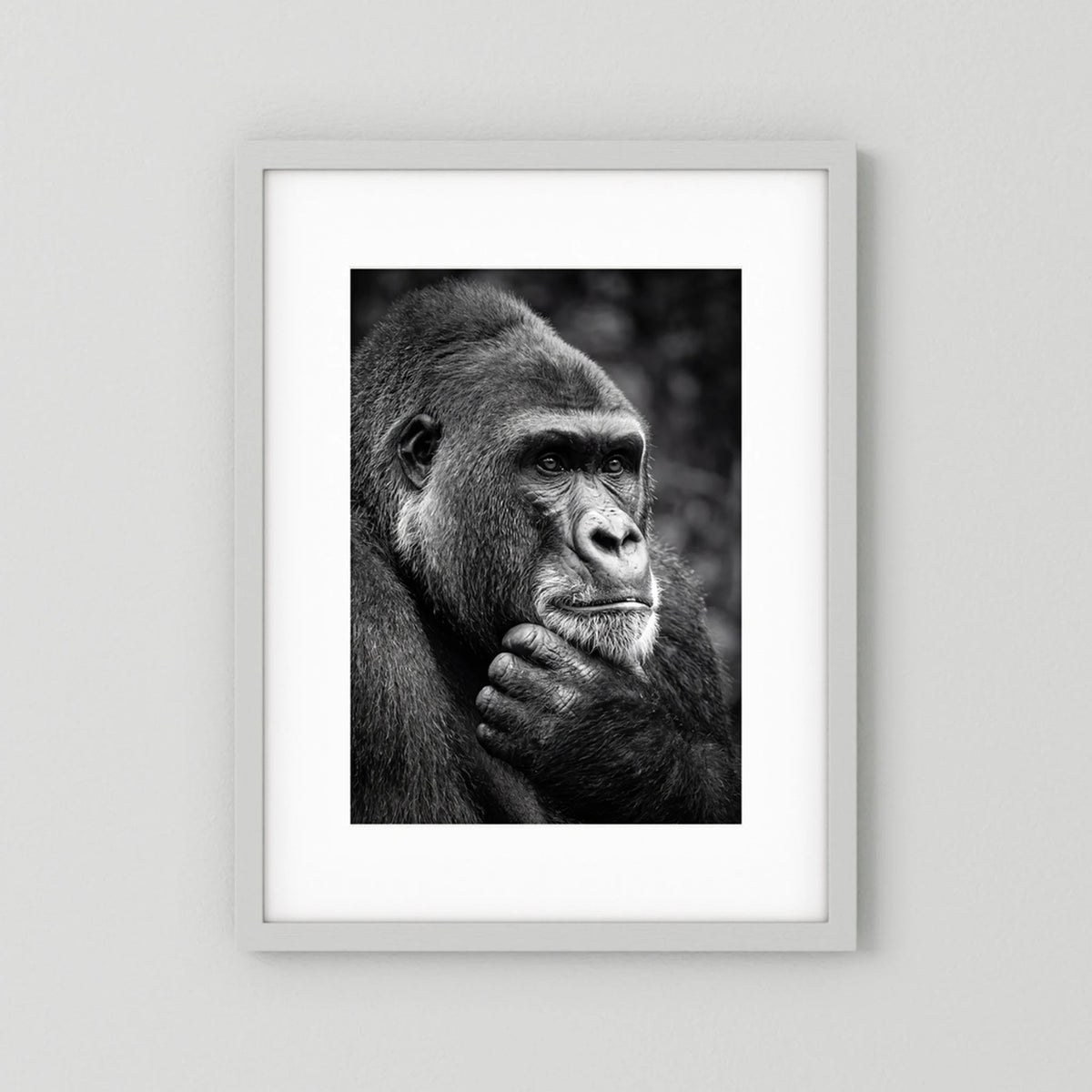 Gorilla