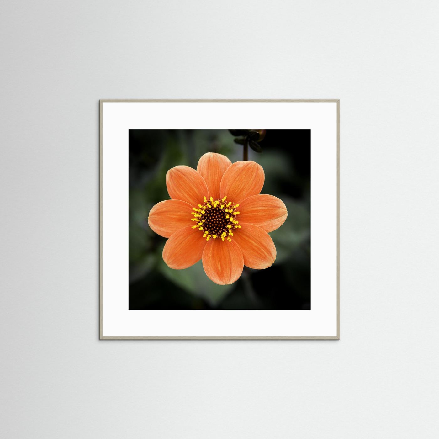 Square flower
