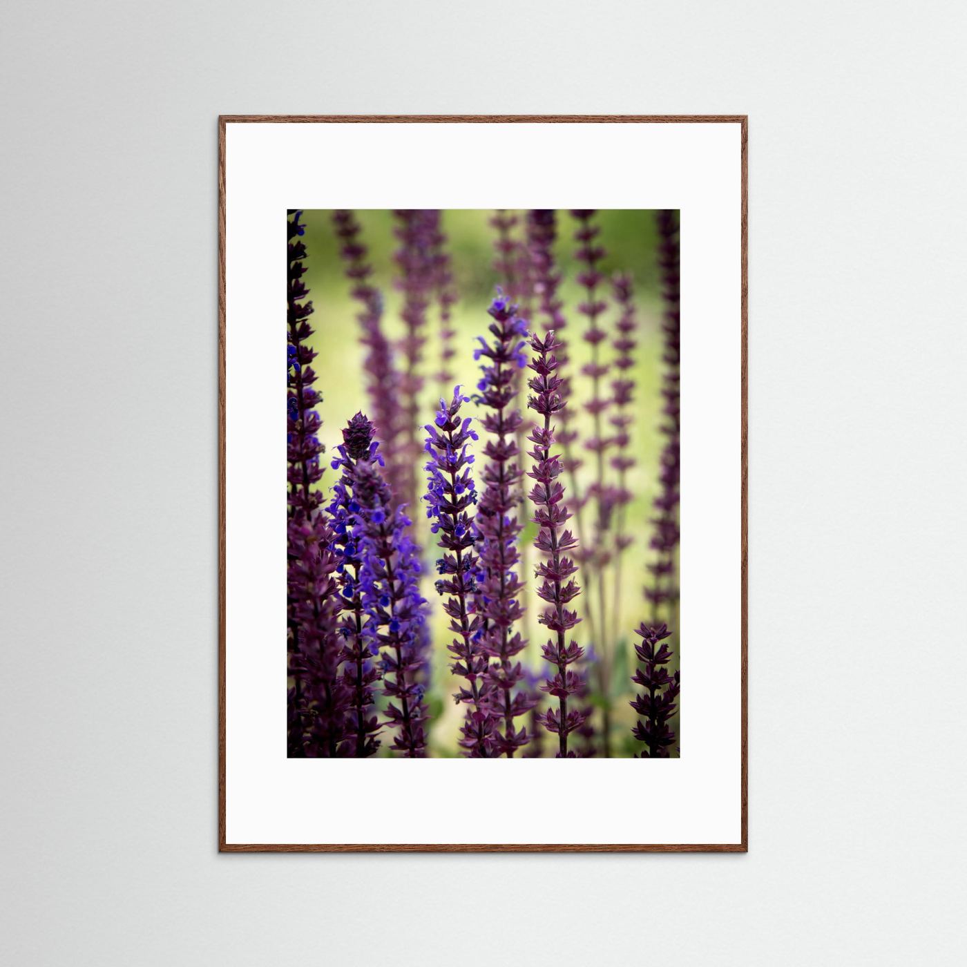 Purple flowers