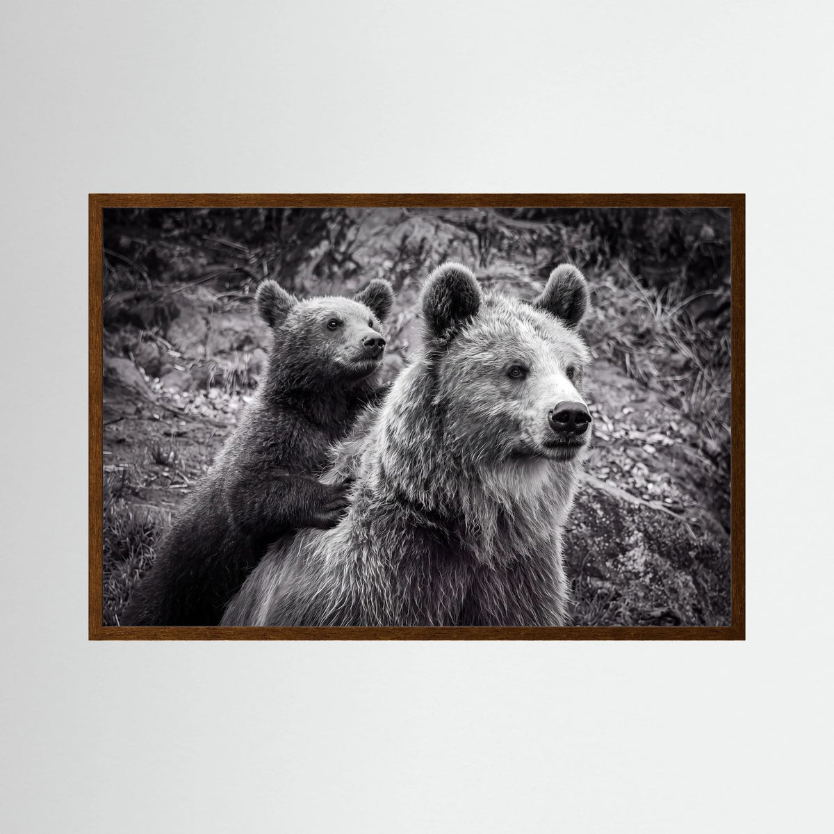 Baby bear