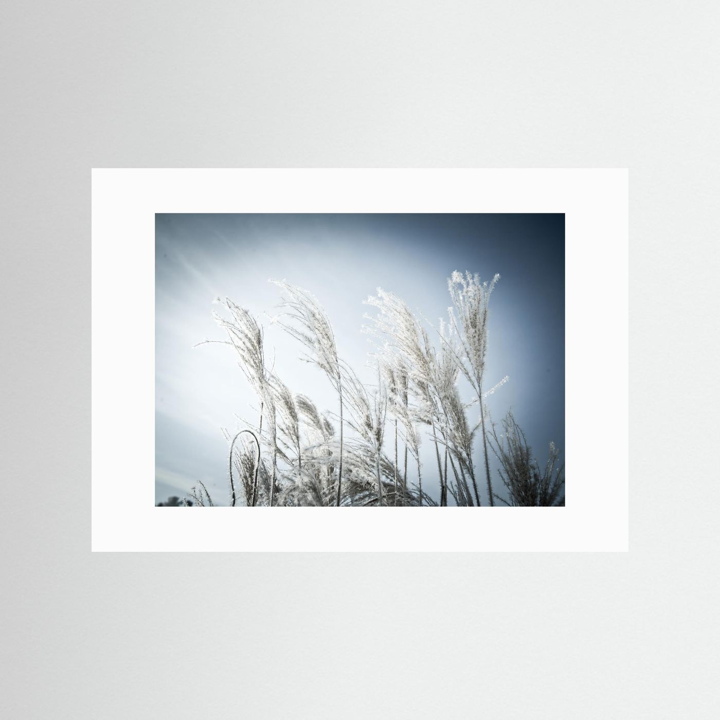 Frost
