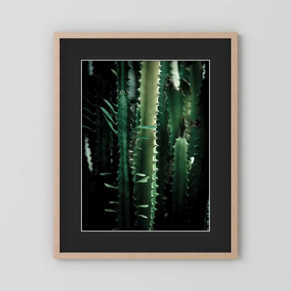 Dark Cactus
