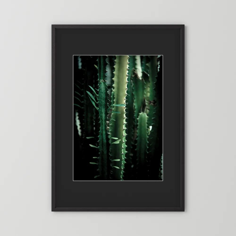 Dark Cactus