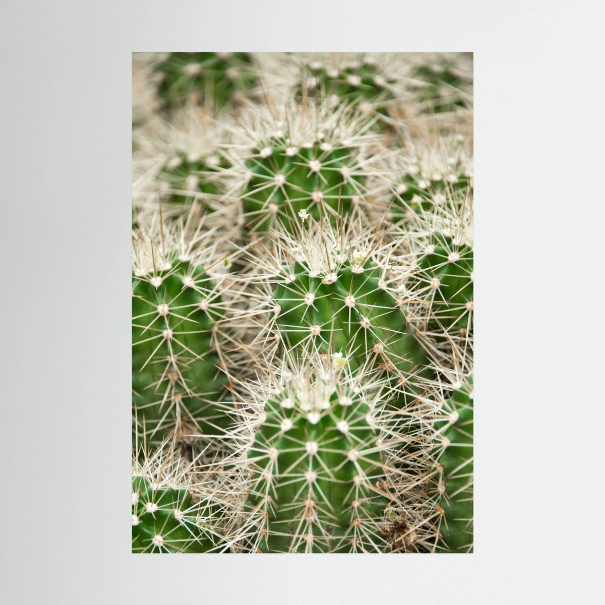 Prickle