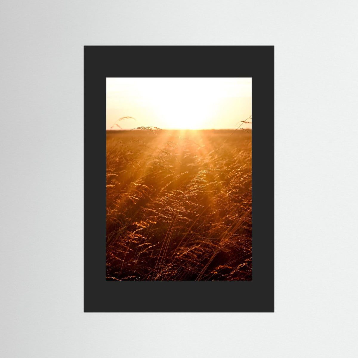 Fields of Gold