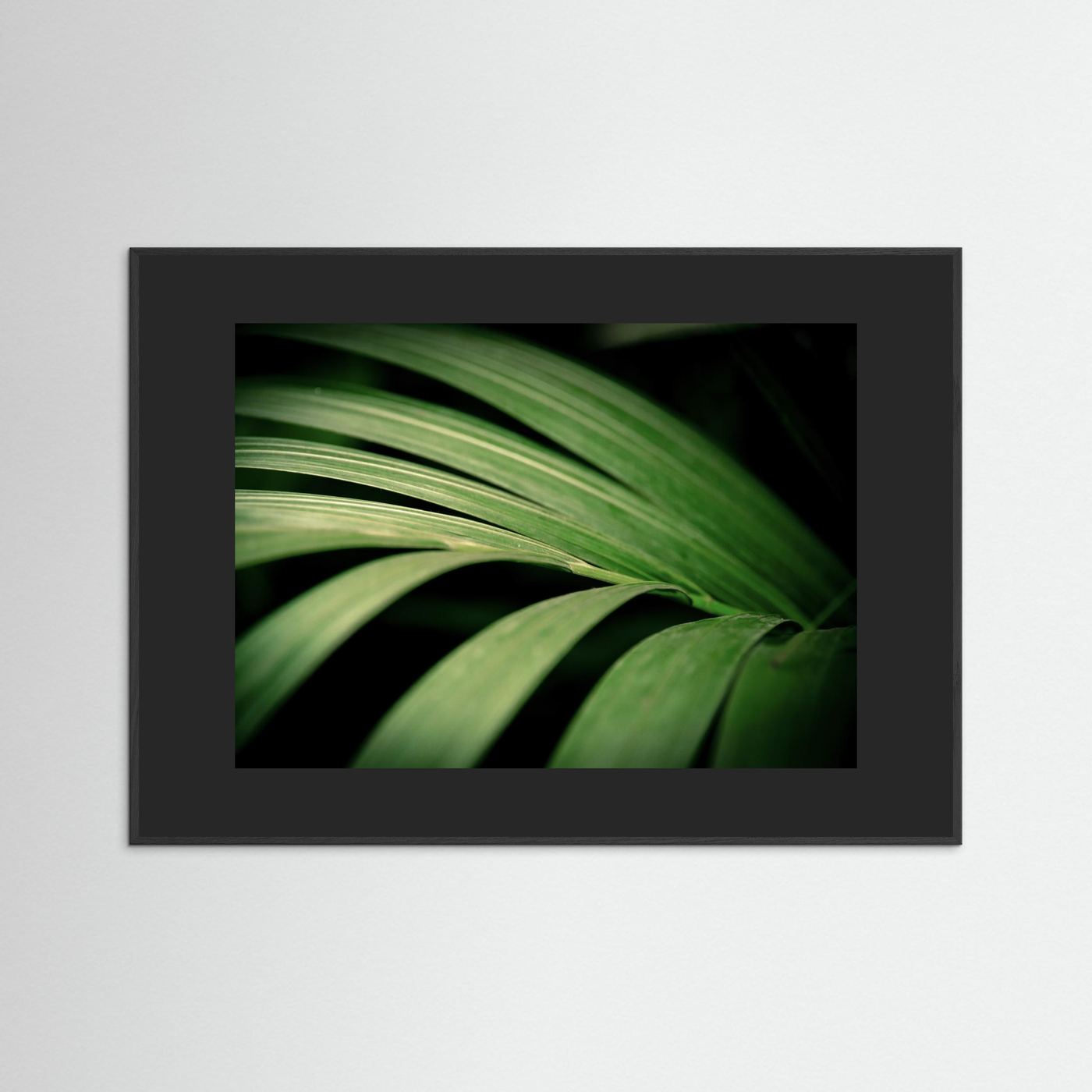 Green leaves