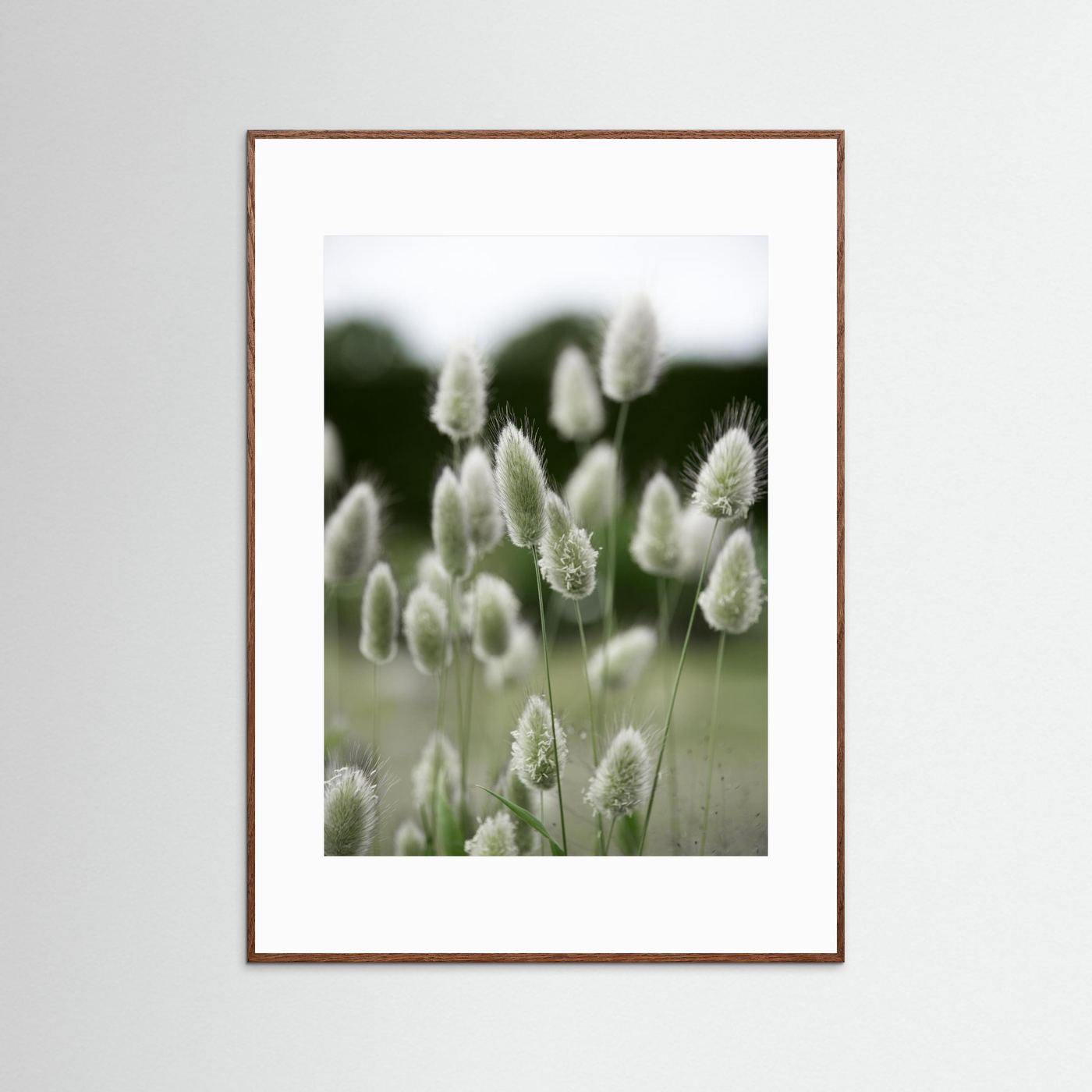 Grass