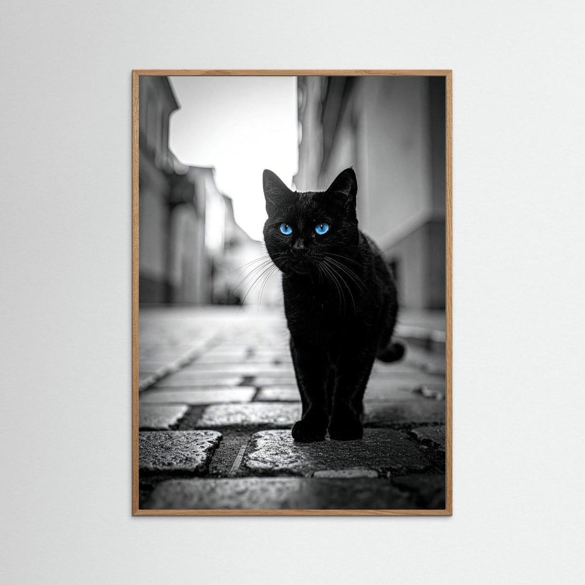 City Cat