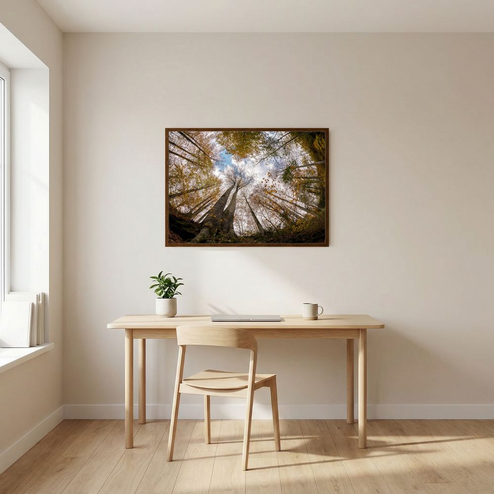Golden Forest Sky View 