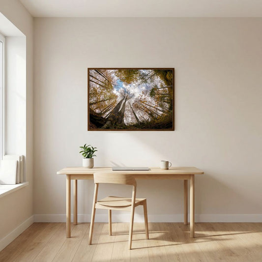 Golden Forest Sky View 