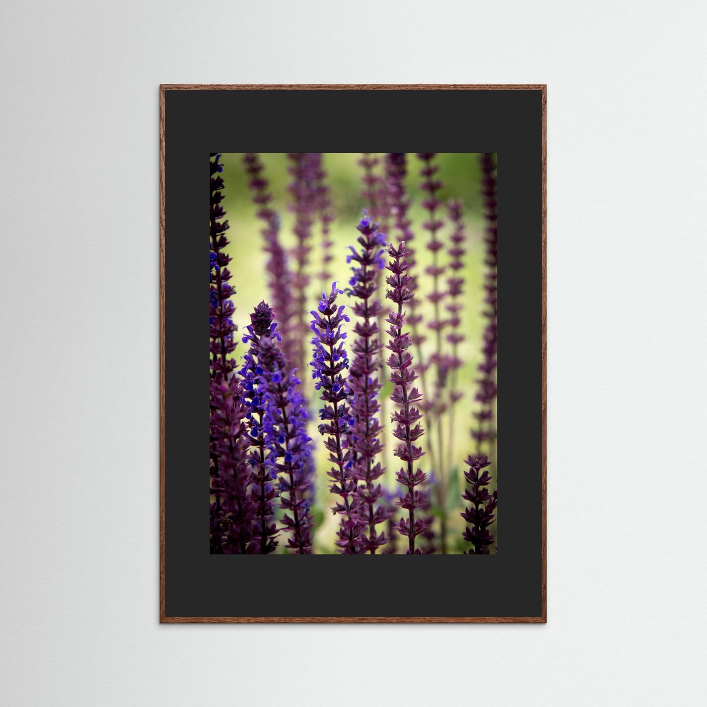 Purple flowers