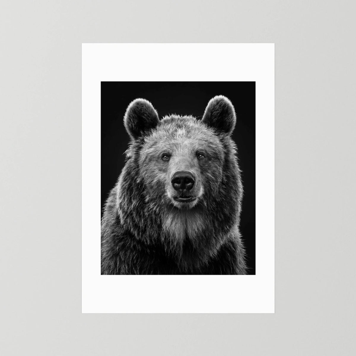 The Bear