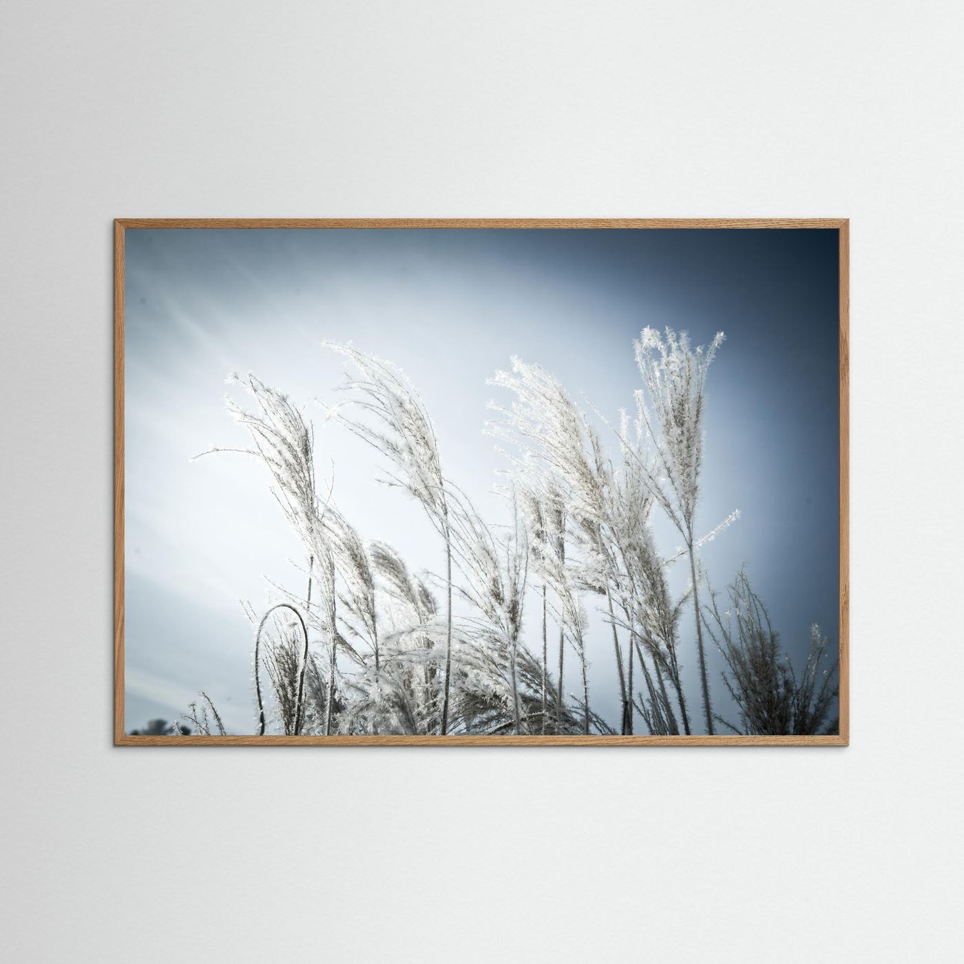 Frost