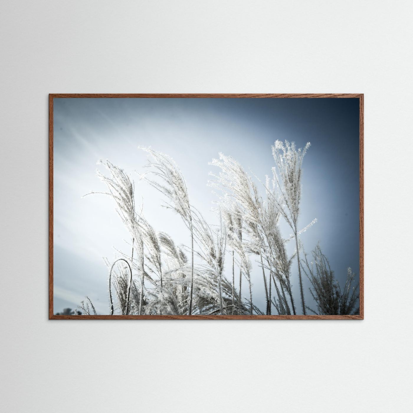 Frost