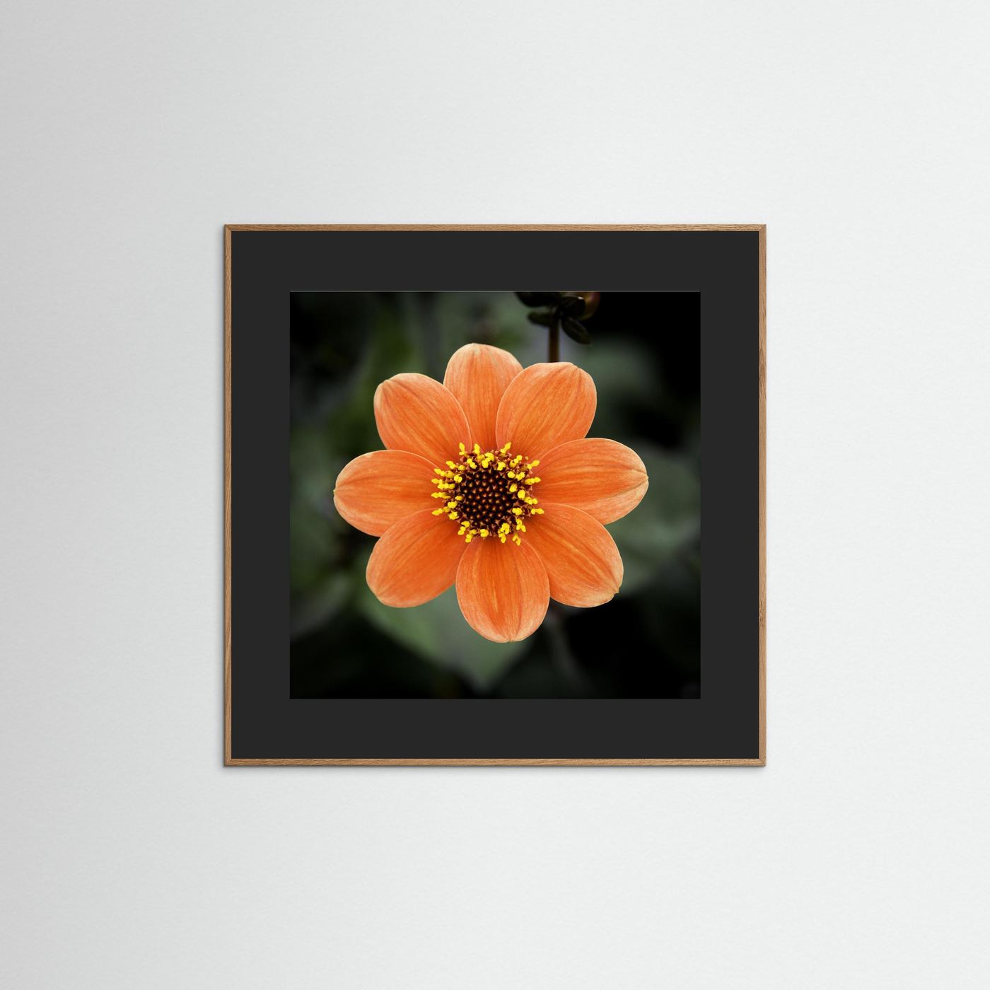 Square flower