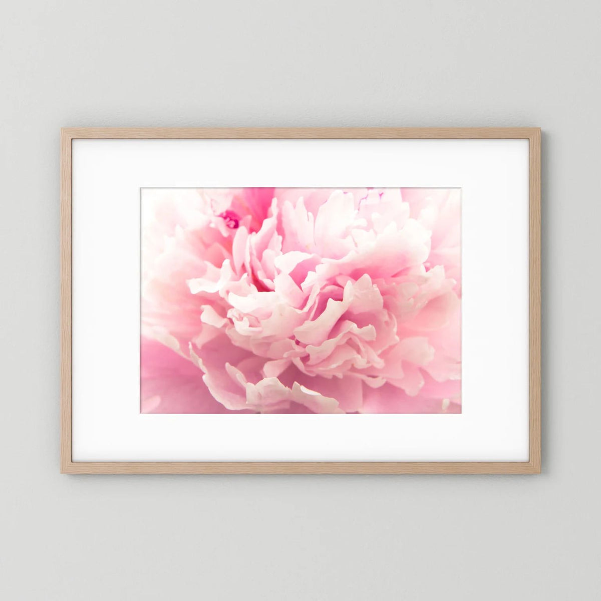 Fluffy Flower
