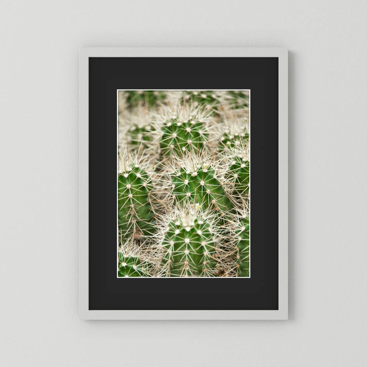 Prickle