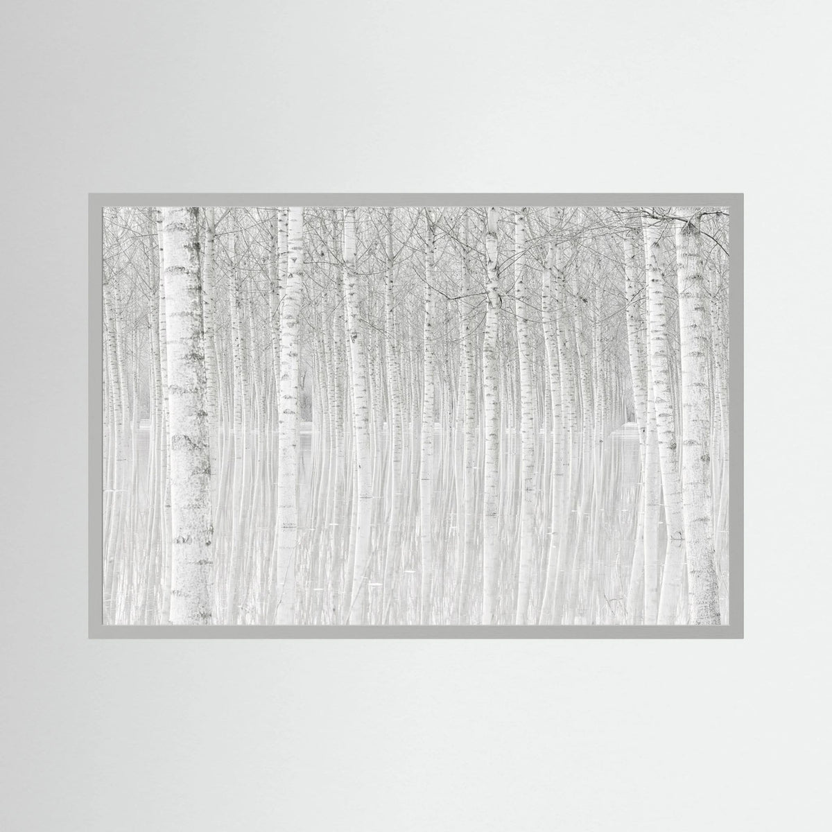 Trees 