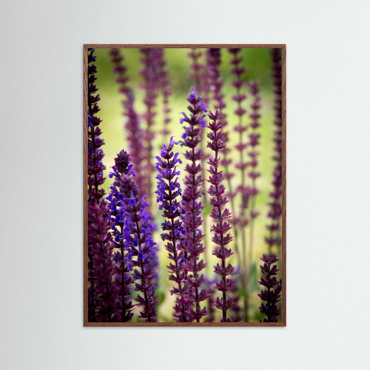 Purple flowers
