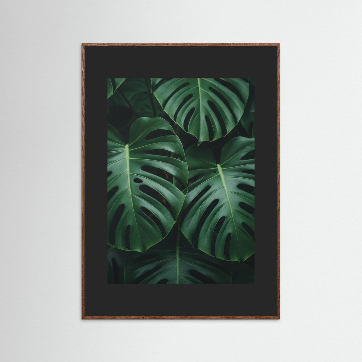 Monstera Deliciosa