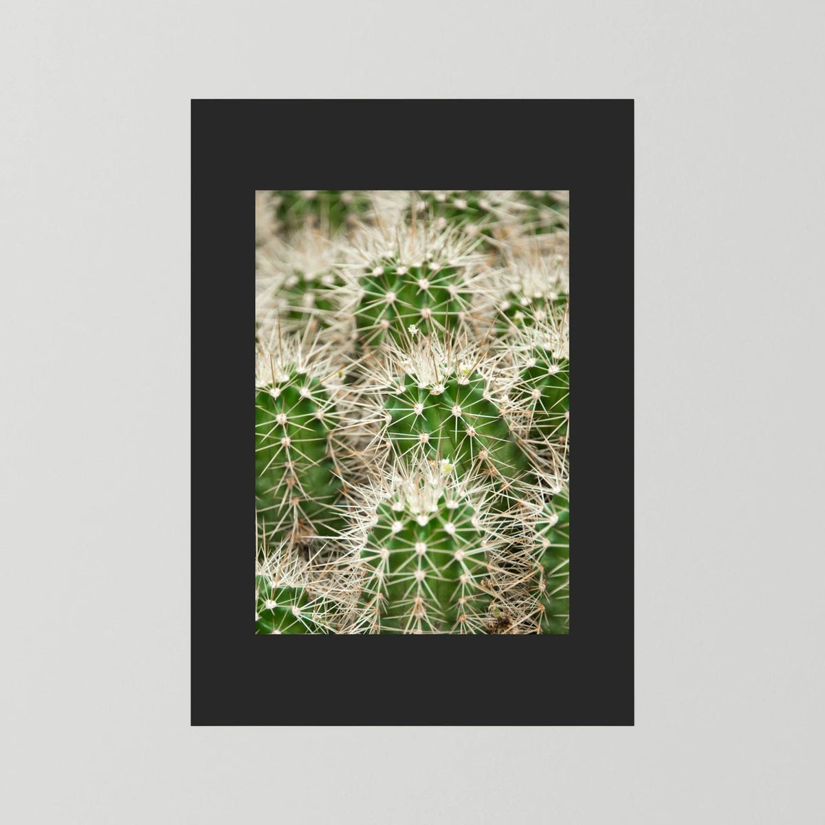 Prickle