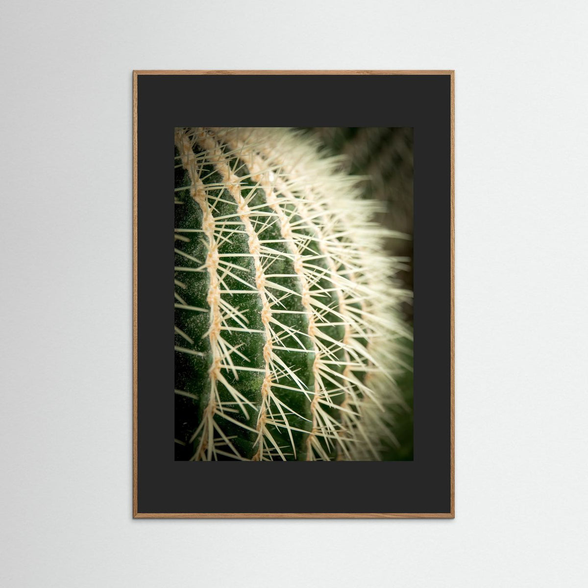 Cactus