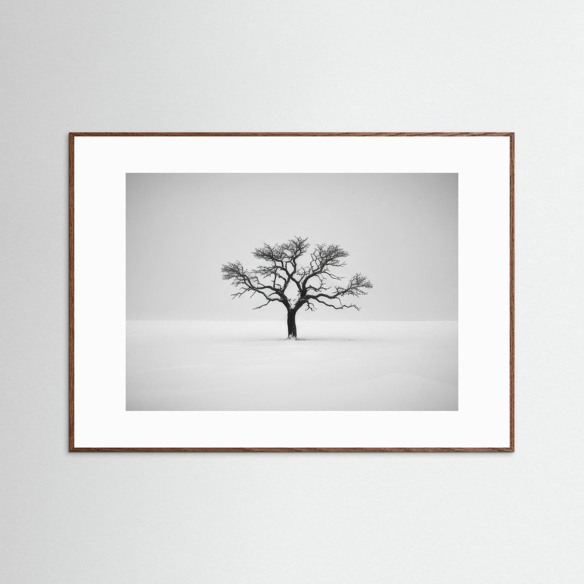 Tree of Life