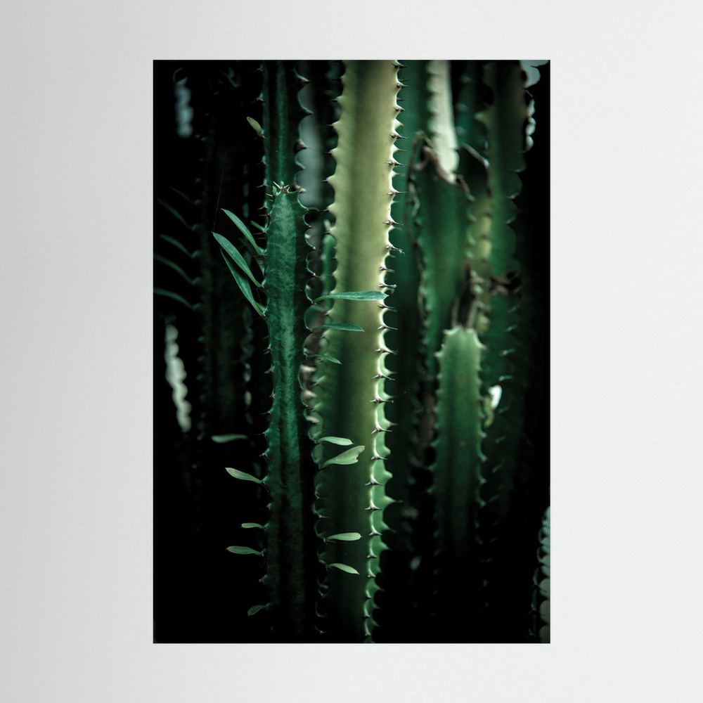 Dark Cactus