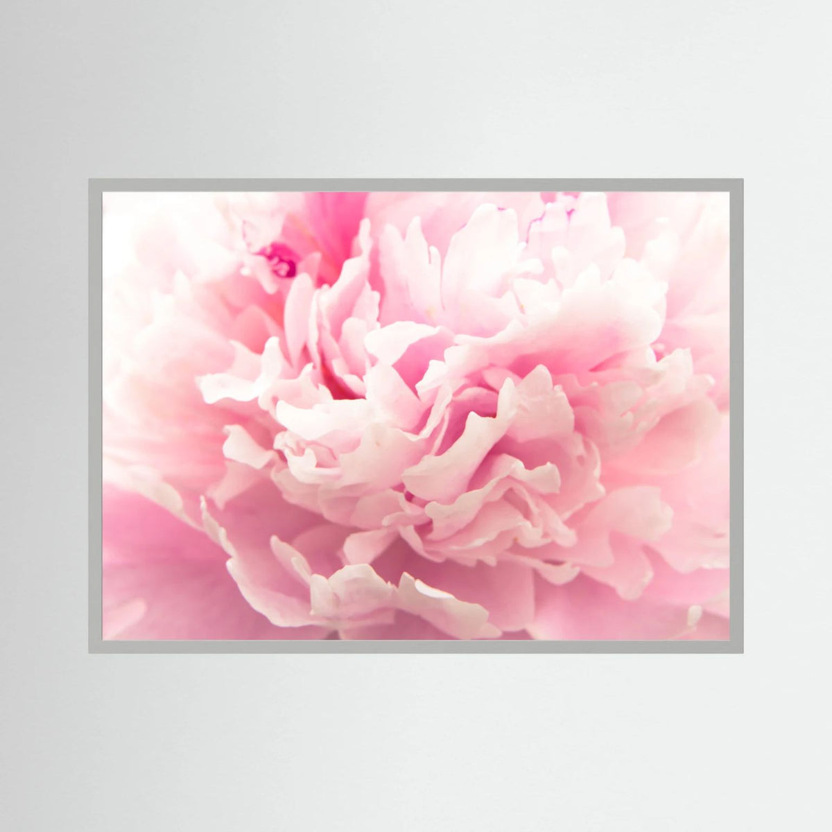 Fluffy Flower