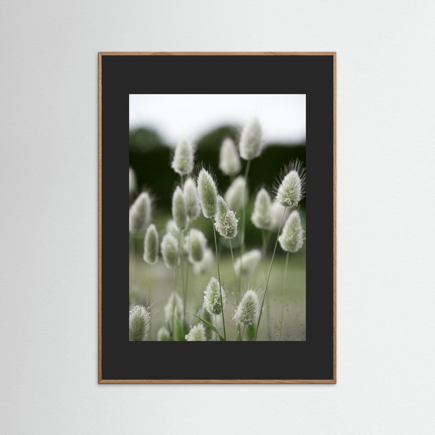 Grass
