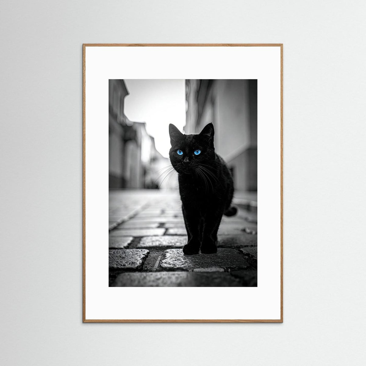 City Cat