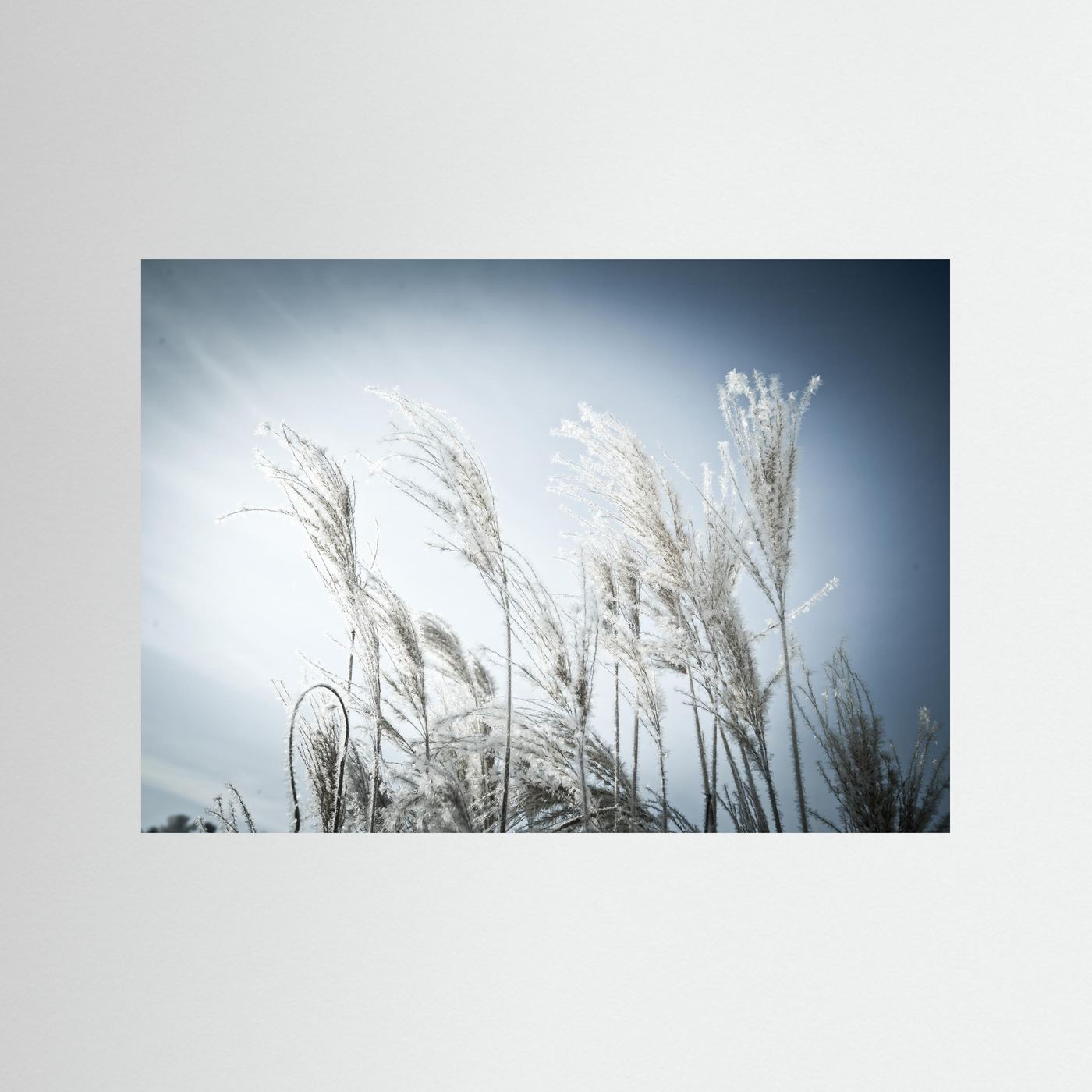 Frost