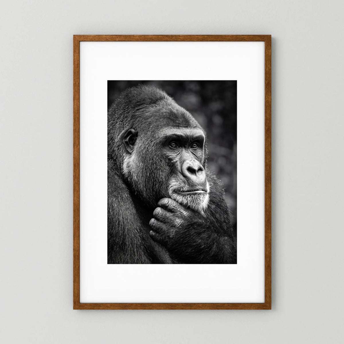 Gorilla