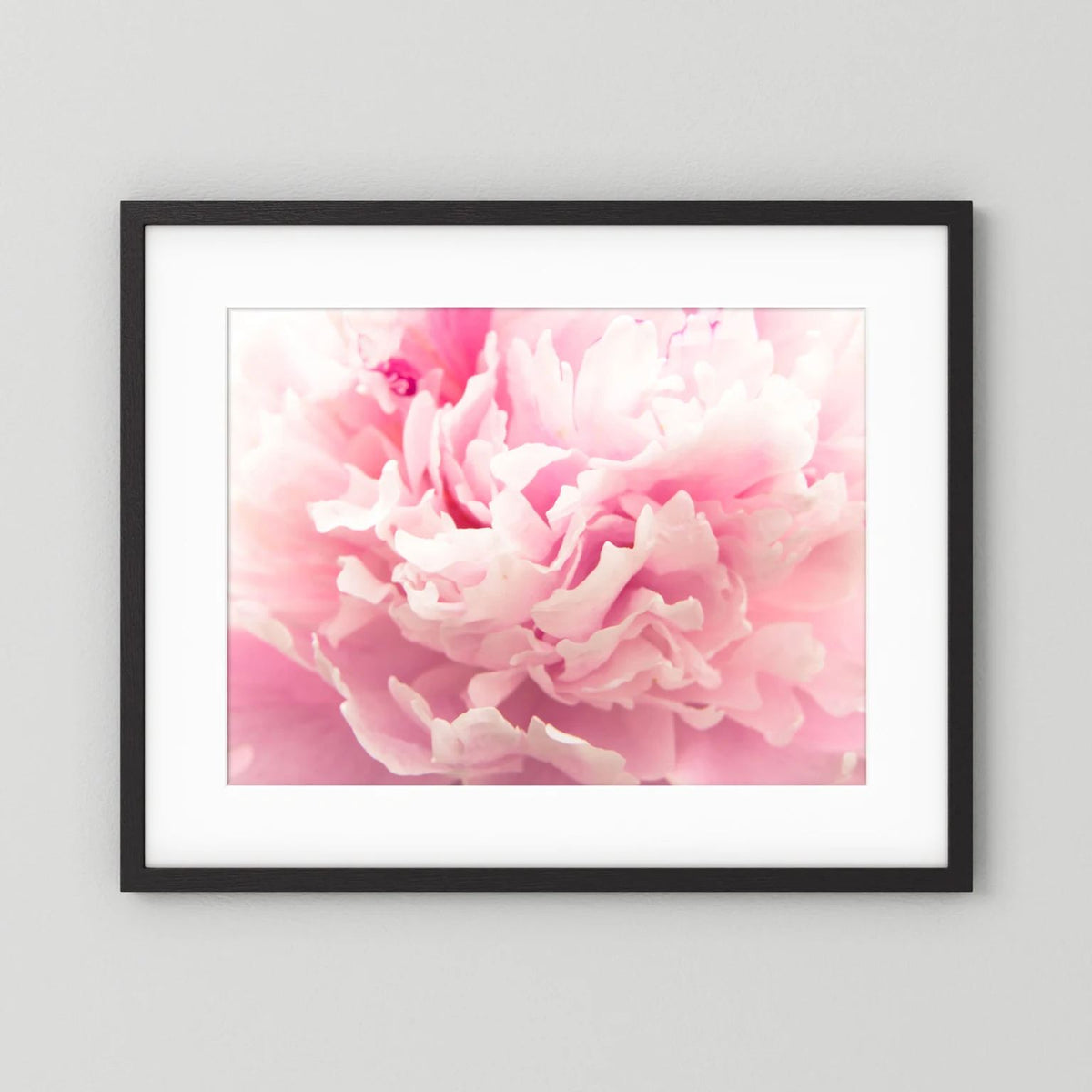 Fluffy Flower