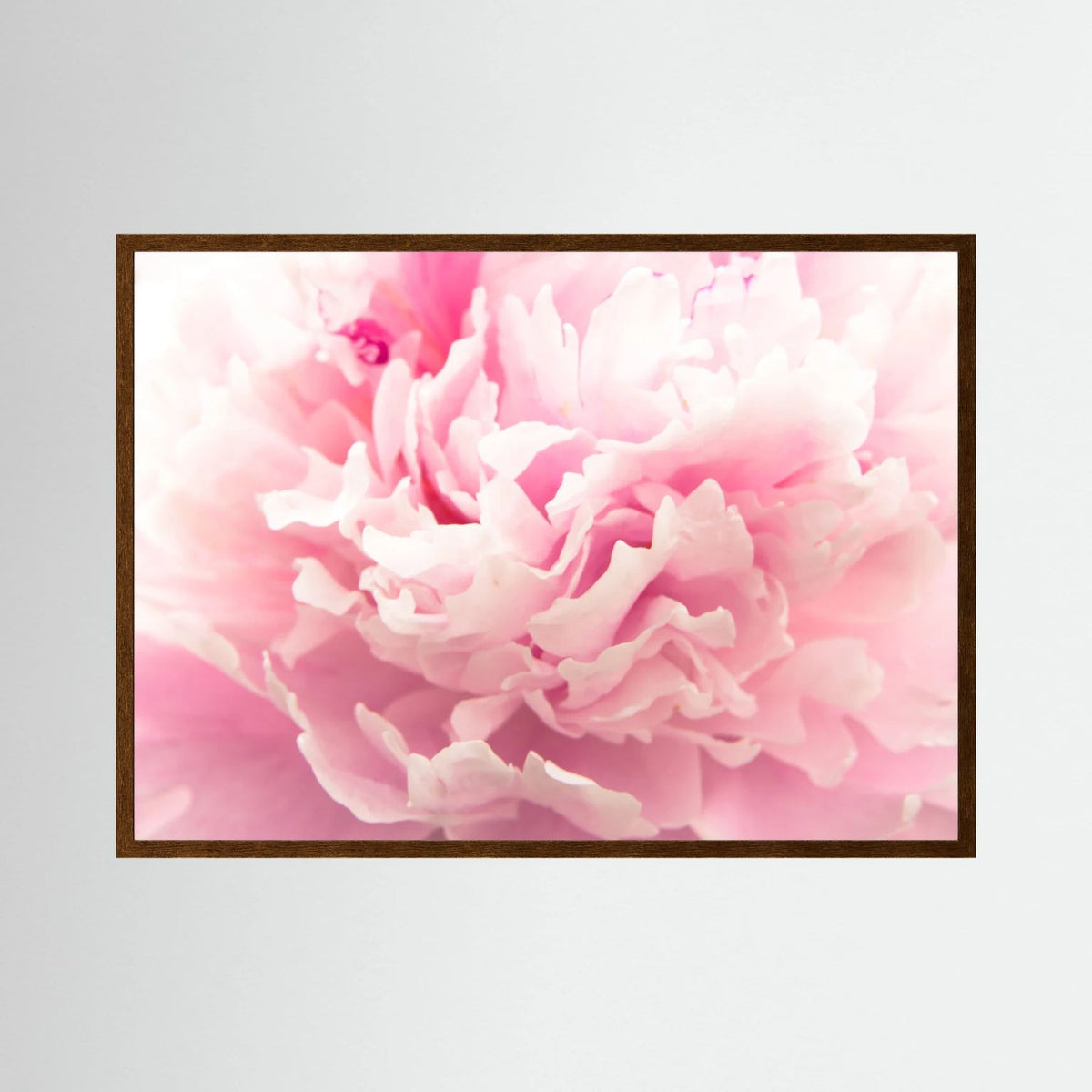 Fluffy Flower