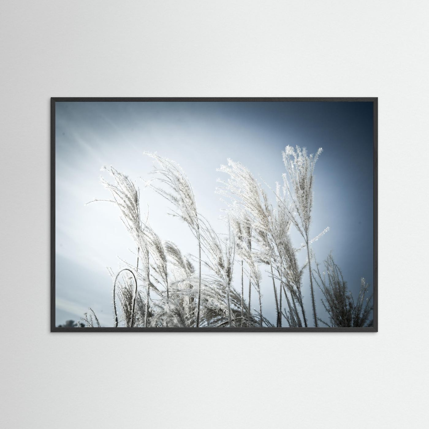 Frost