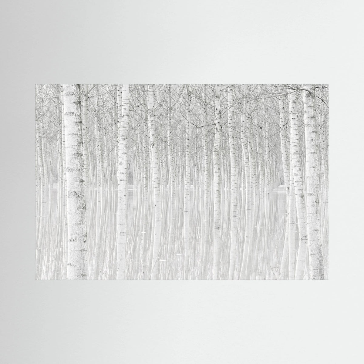 Trees 