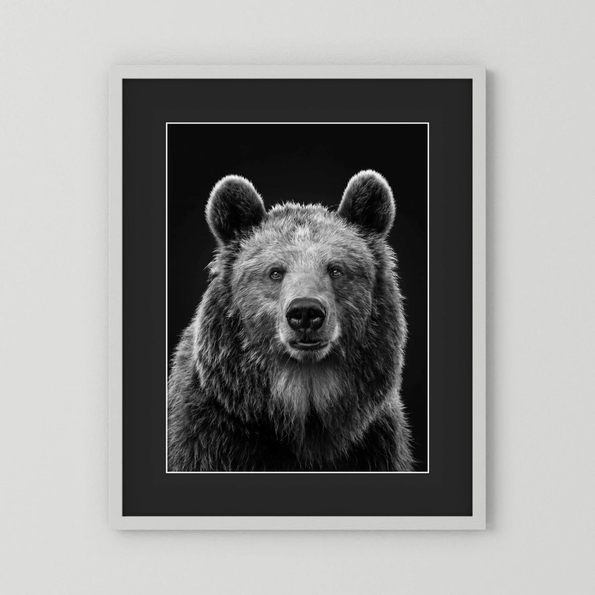 The Bear