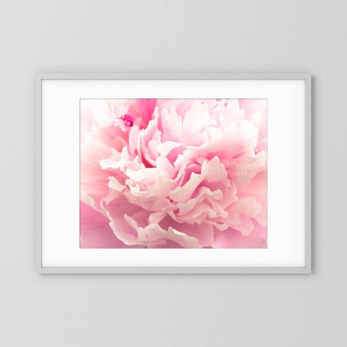 Fluffy Flower