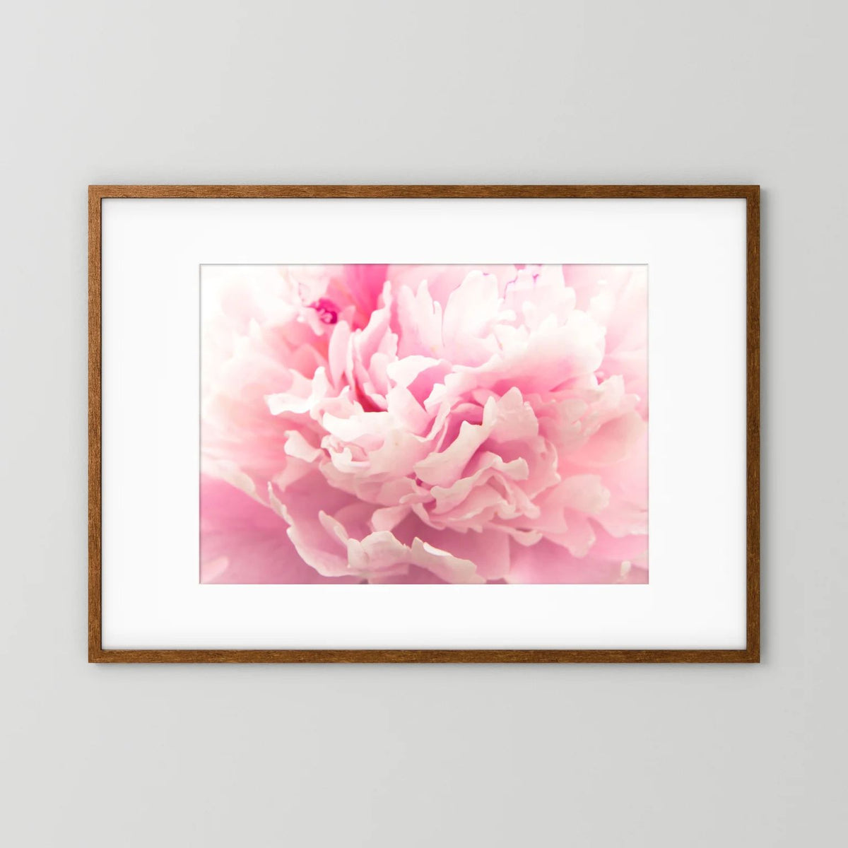 Fluffy Flower