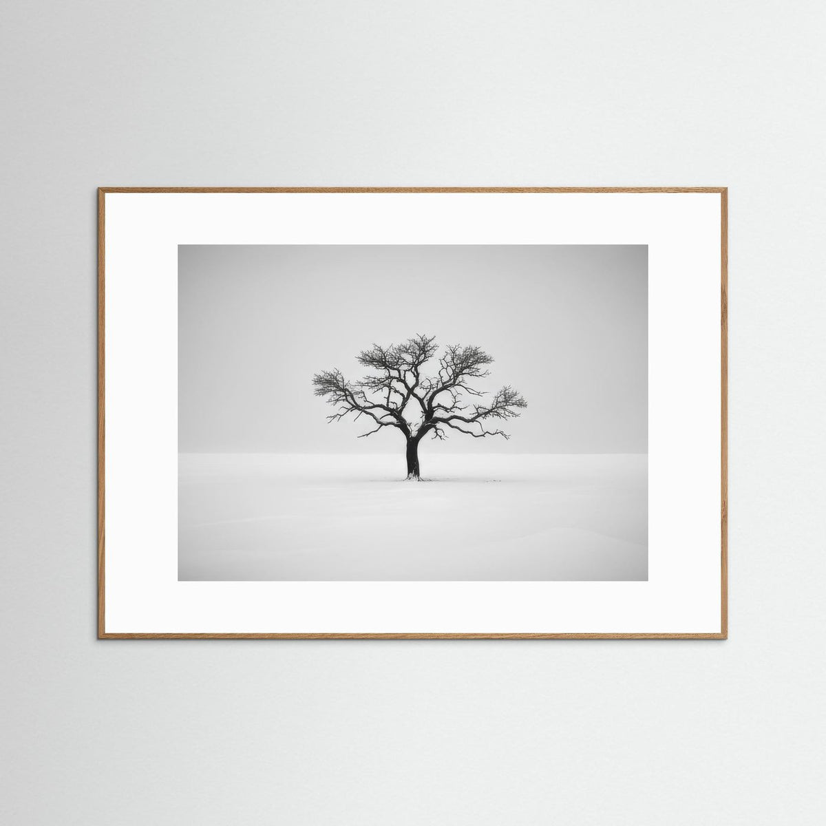 Tree of Life