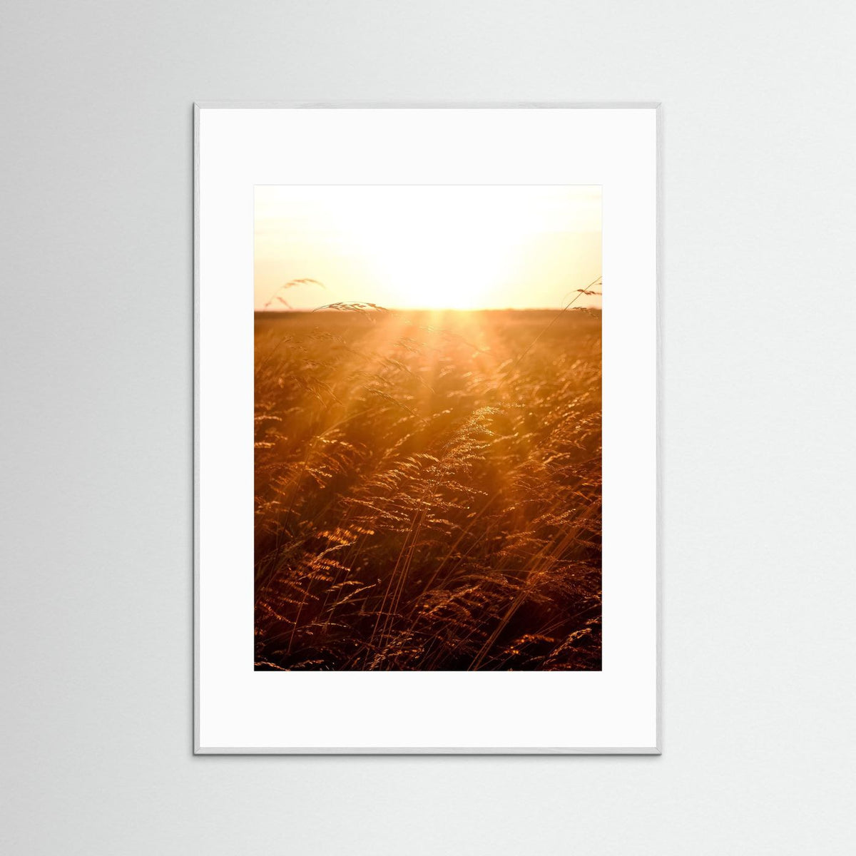 Fields of Gold