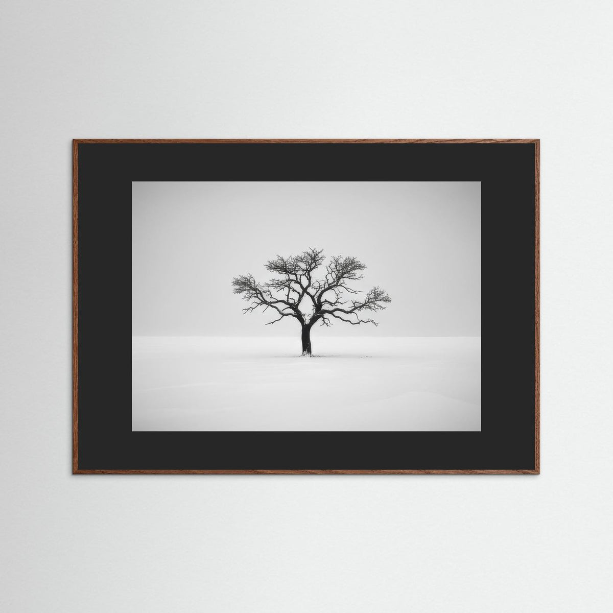 Tree of Life