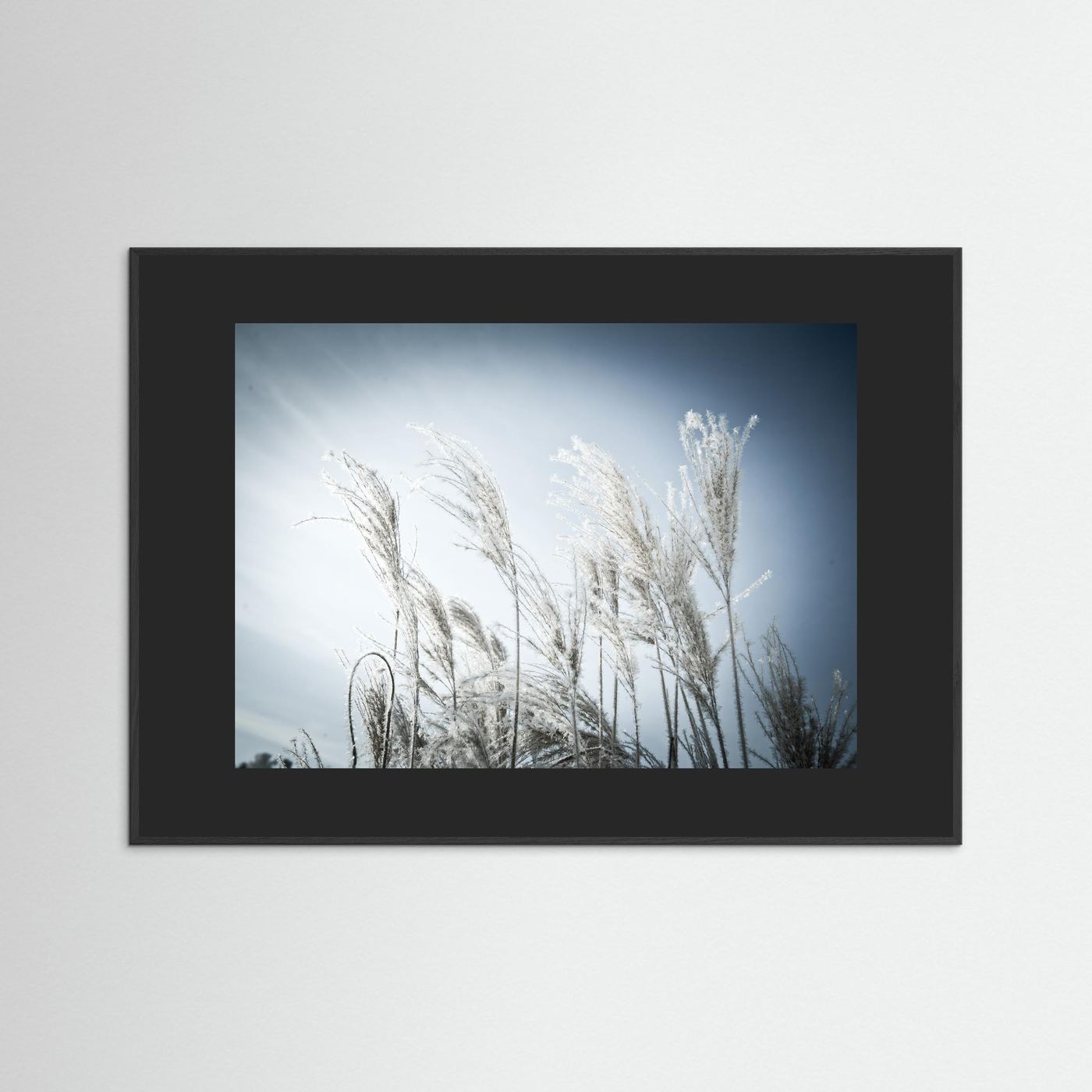 Frost