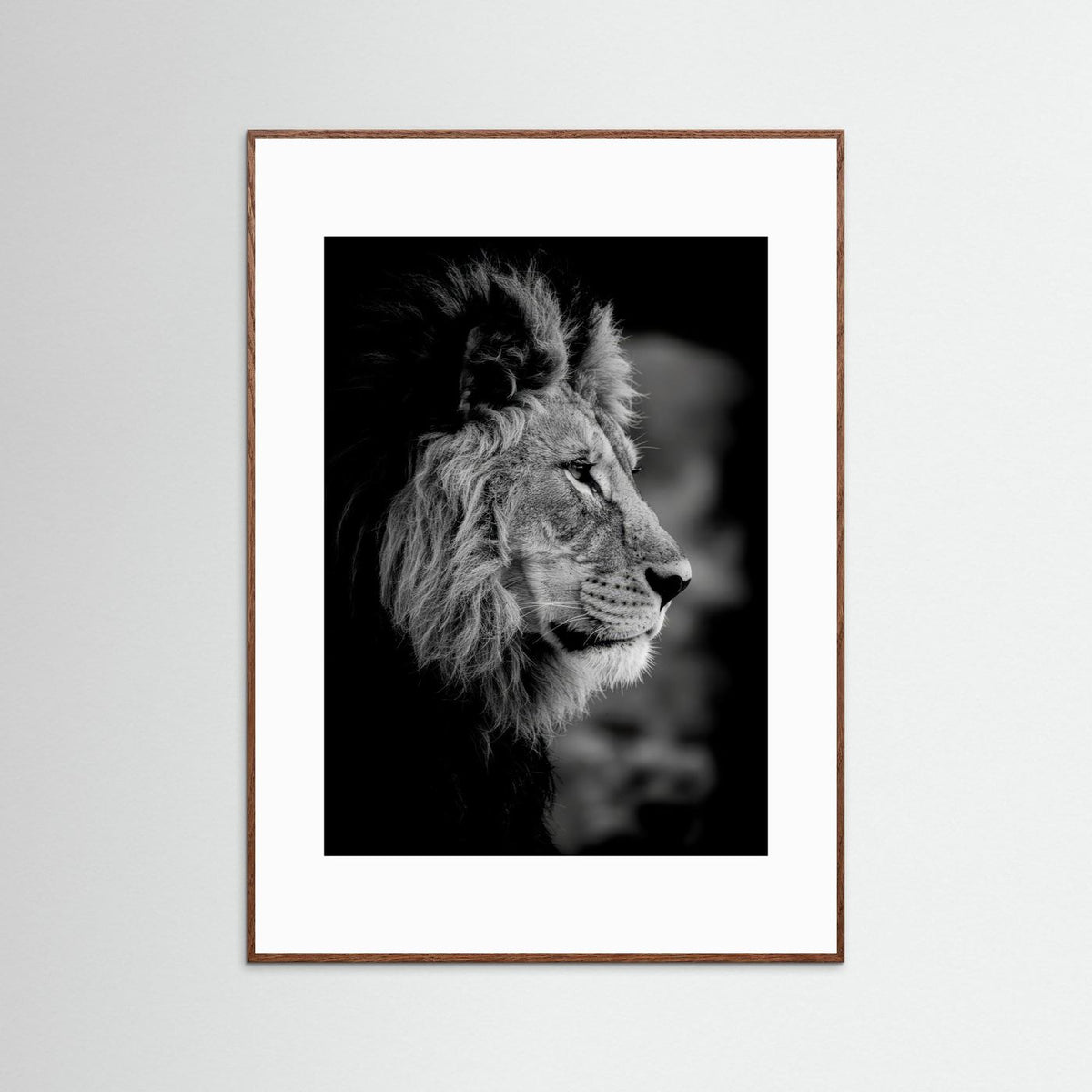 Majestic Mind