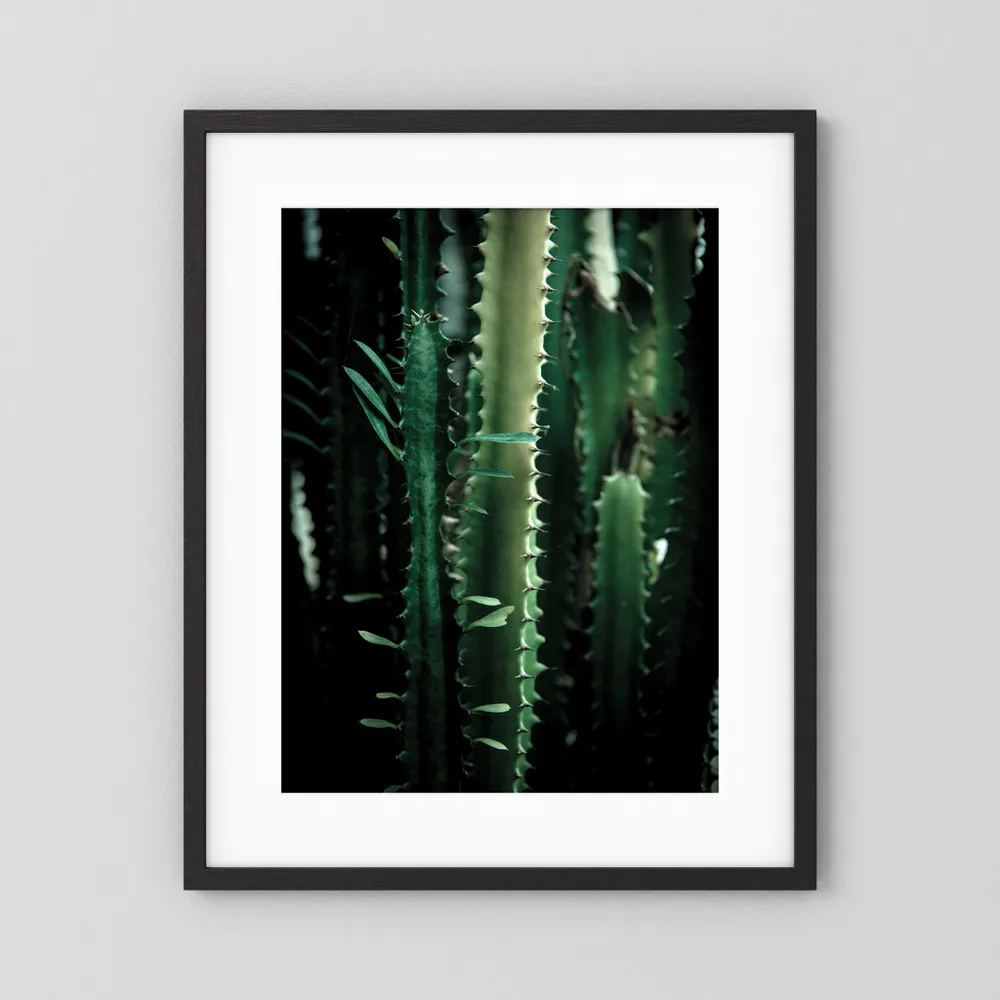 Dark Cactus
