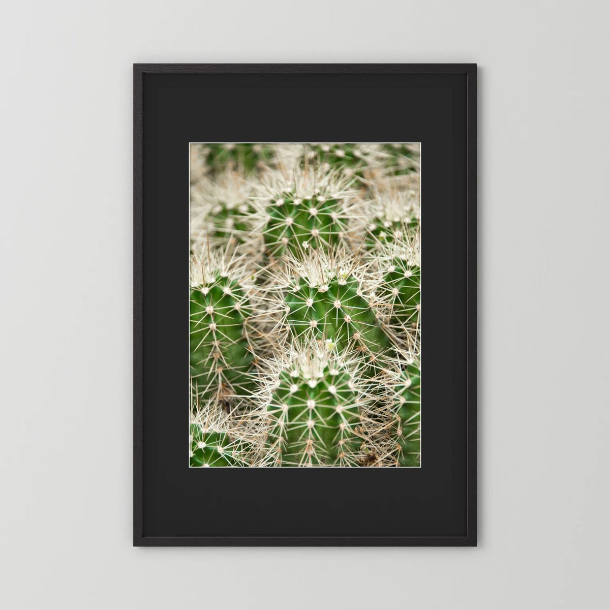 Prickle