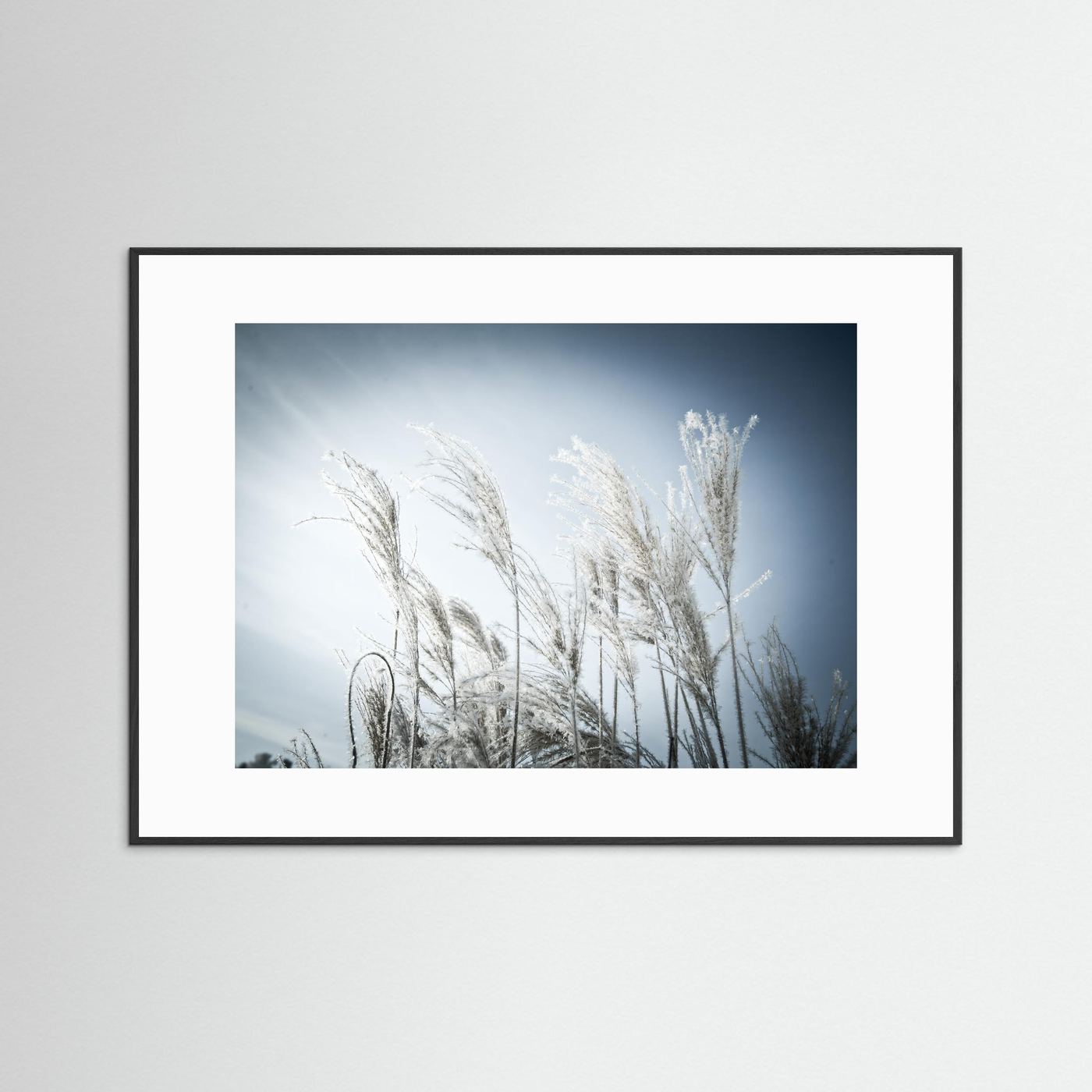 Frost