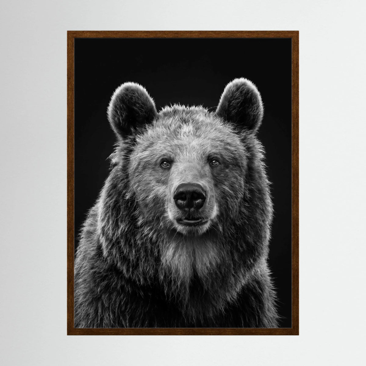 The Bear